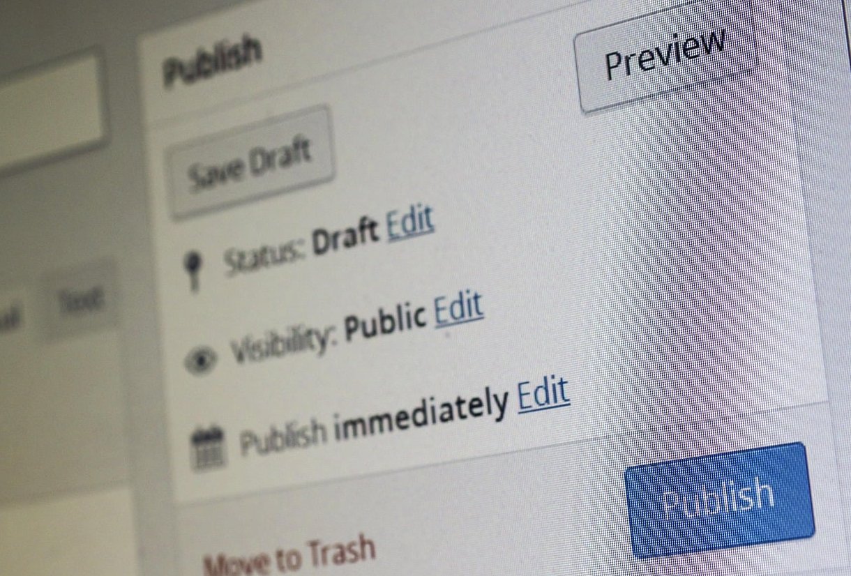 wordpress plugin update