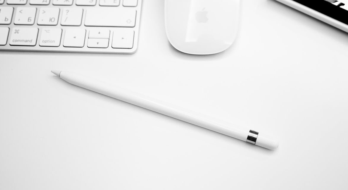 wordpress plugin update